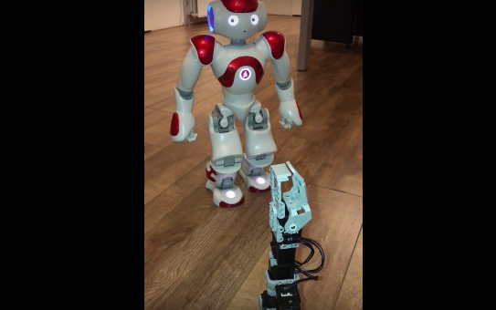 Remote Controlling Nao Robot with Raspberry Pi - Robotic Gizmos