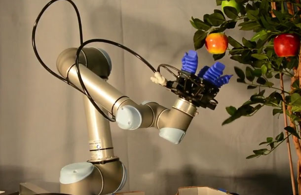 UR5 Robotic Arm Picking Apples - Robotic Gizmos