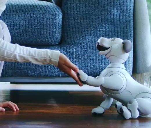 Sony's robot dog Aibo is headed to the US for a cool $2,899 - The