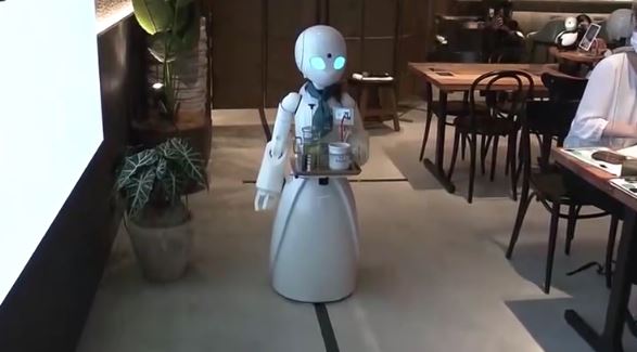 Dawn Avatar Robot Cafe In Tokyo - Robotic Gizmos