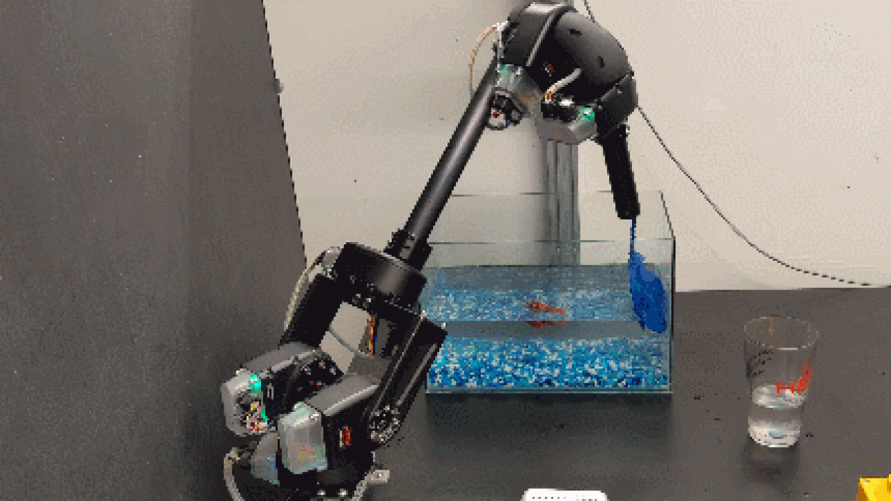 HEBI Robot Arm Catching Fish - Robotic Gizmos